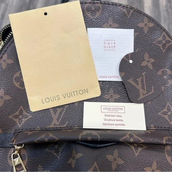 LOUIS VUITTON - Monogram Palm Springs PM - Picture 13 of 14